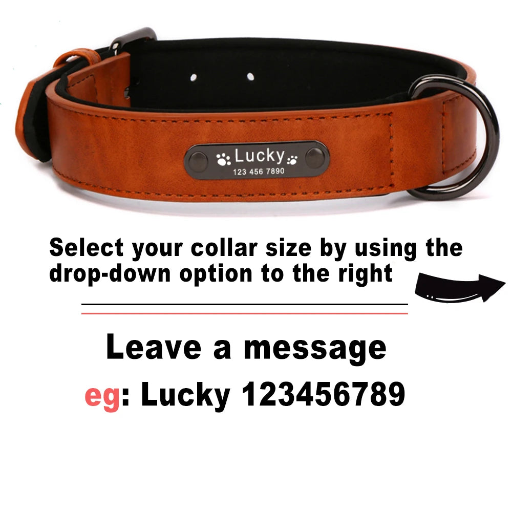 Primavia™ Custom Leather Dog Collar and Leash| Personalized Engraved ID Tag | UK Free Shipping