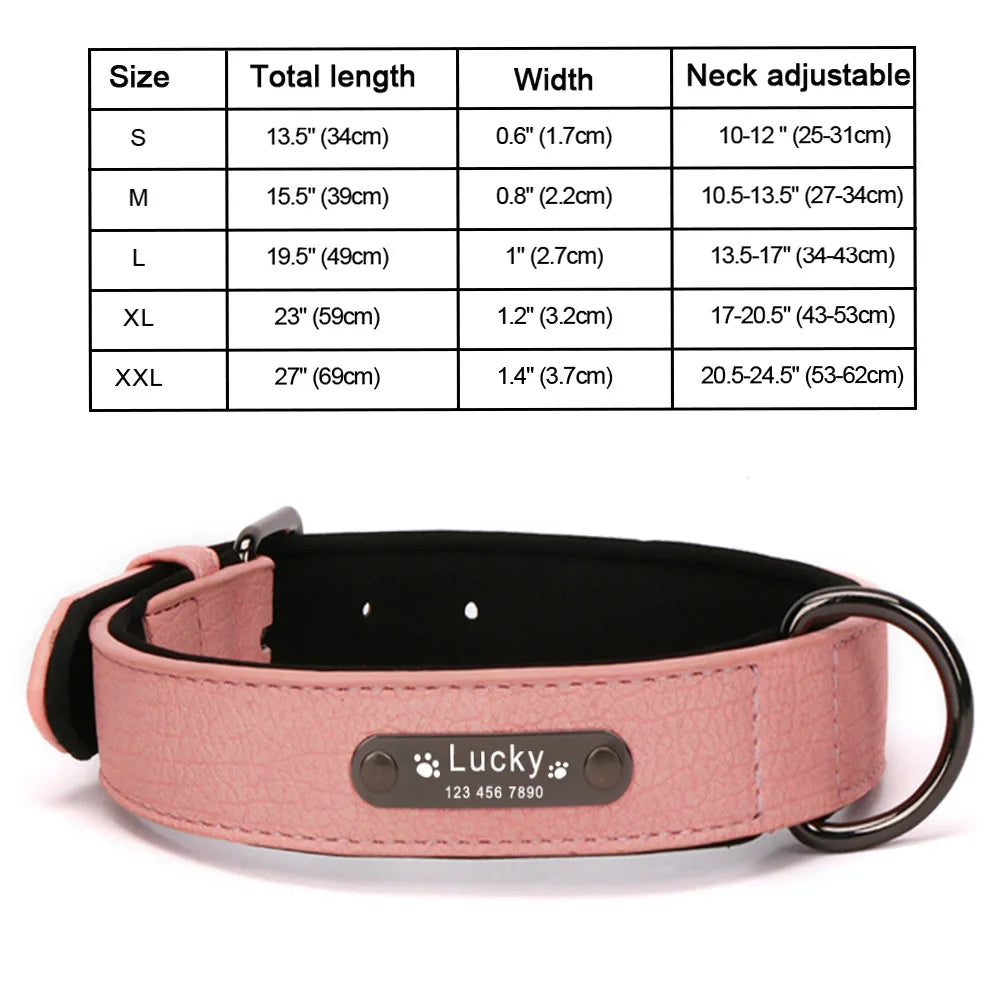 Primavia™ Custom Leather Dog Collar and Leash| Personalized Engraved ID Tag | UK Free Shipping