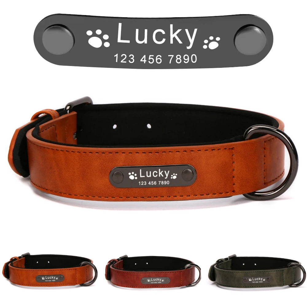 Primavia™ Custom Leather Dog Collar and Leash| Personalized Engraved ID Tag | UK Free Shipping