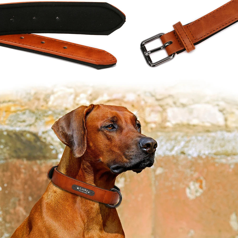 Primavia™ Custom Leather Dog Collar and Leash| Personalized Engraved ID Tag | UK Free Shipping