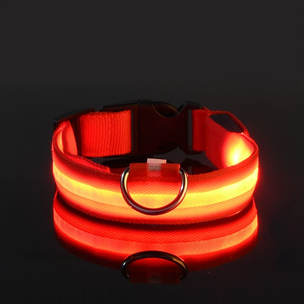 Primavia™ LumaCollar™ | LED Night Safety Dog Collar | USB Rechargeable Reflective Nylon | Glow-in-the-Dark Pet Gear | UK Free Shipping
