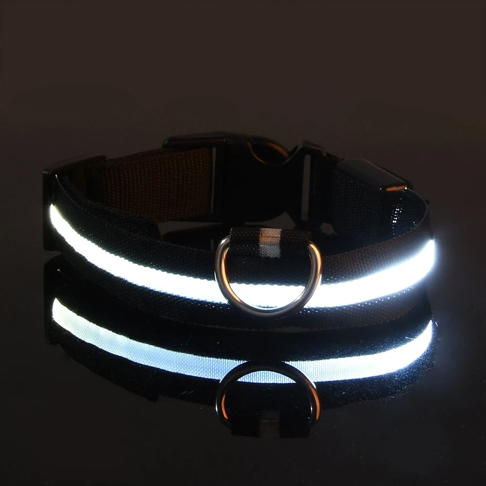 Primavia™ LumaCollar™ | LED Night Safety Dog Collar | USB Rechargeable Reflective Nylon | Glow-in-the-Dark Pet Gear | UK Free Shipping