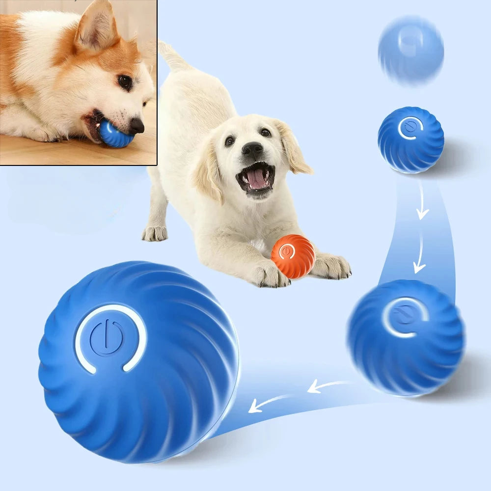 Primavia™ Smart Motion Ball | Automatic Moving & Bouncing Interactive Toy for Dogs | USB Rechargeable Active Play Ball