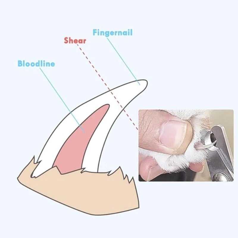 PawTrim™ Classic Pet Nail Clipper | Safe & Sharp Trimmer for Dogs & Cats | UK Free Shipping