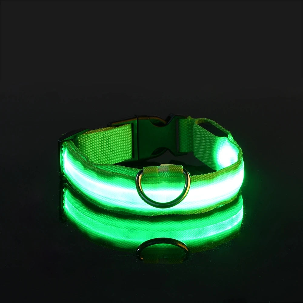 Primavia™ LumaCollar™ | LED Night Safety Dog Collar | USB Rechargeable Reflective Nylon | Glow-in-the-Dark Pet Gear | UK Free Shipping