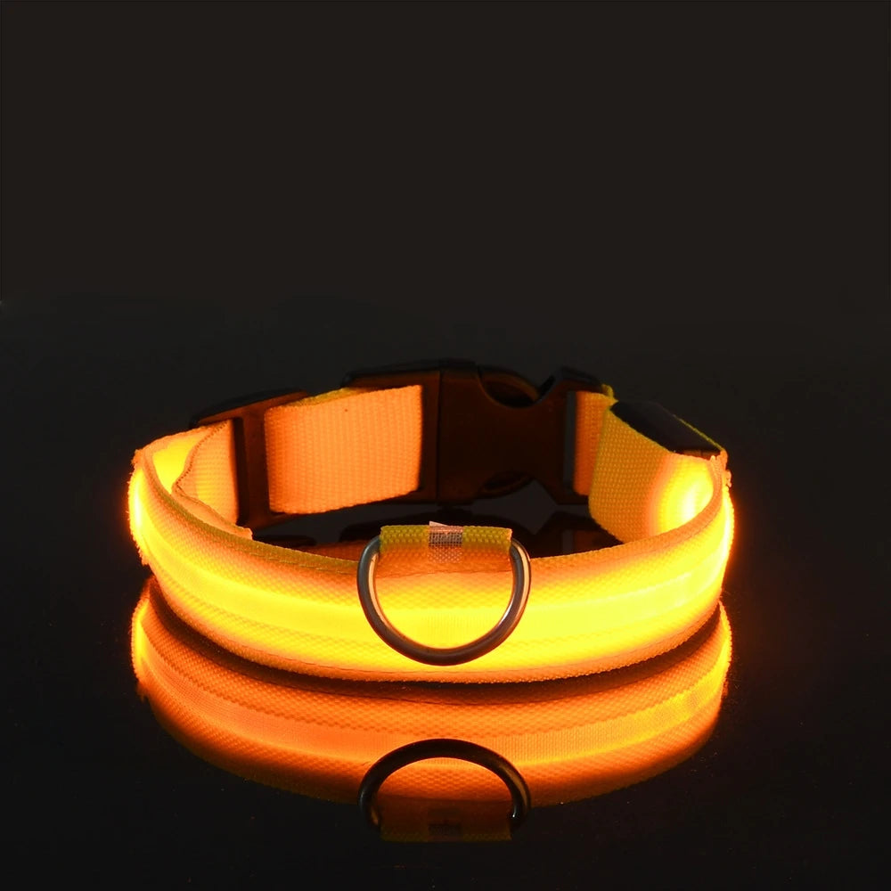 Primavia™ LumaCollar™ | LED Night Safety Dog Collar | USB Rechargeable Reflective Nylon | Glow-in-the-Dark Pet Gear | UK Free Shipping