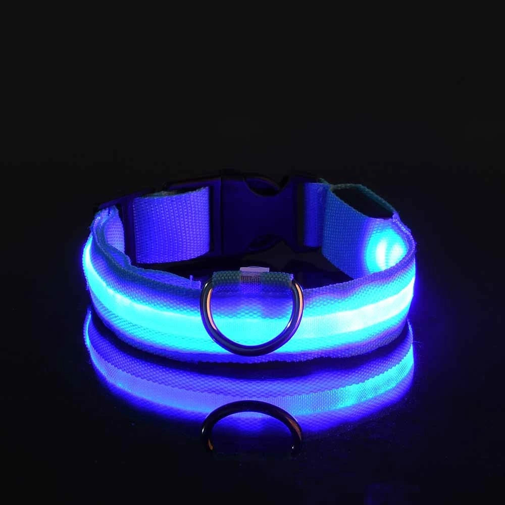 Primavia™ LumaCollar™ | LED Night Safety Dog Collar | USB Rechargeable Reflective Nylon | Glow-in-the-Dark Pet Gear | UK Free Shipping