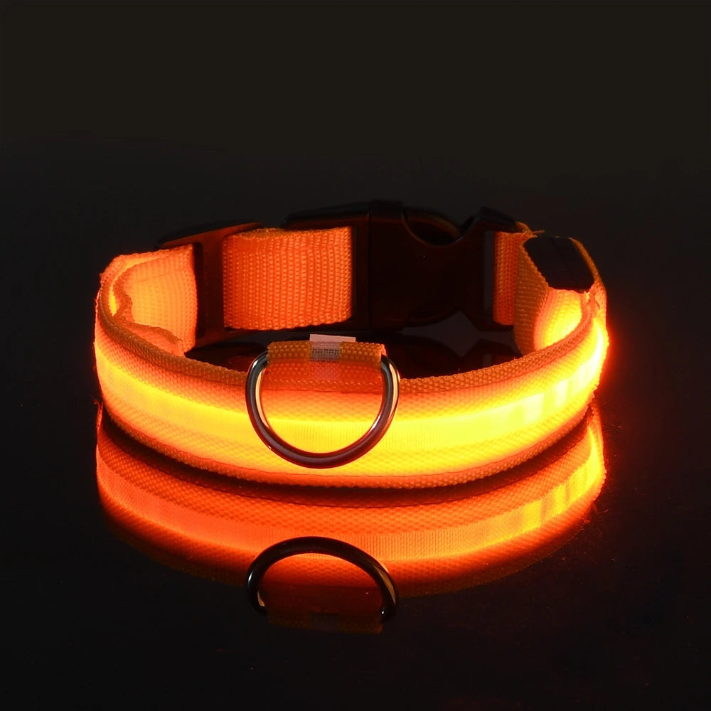 Primavia™ LumaCollar™ | LED Night Safety Dog Collar | USB Rechargeable Reflective Nylon | Glow-in-the-Dark Pet Gear | UK Free Shipping
