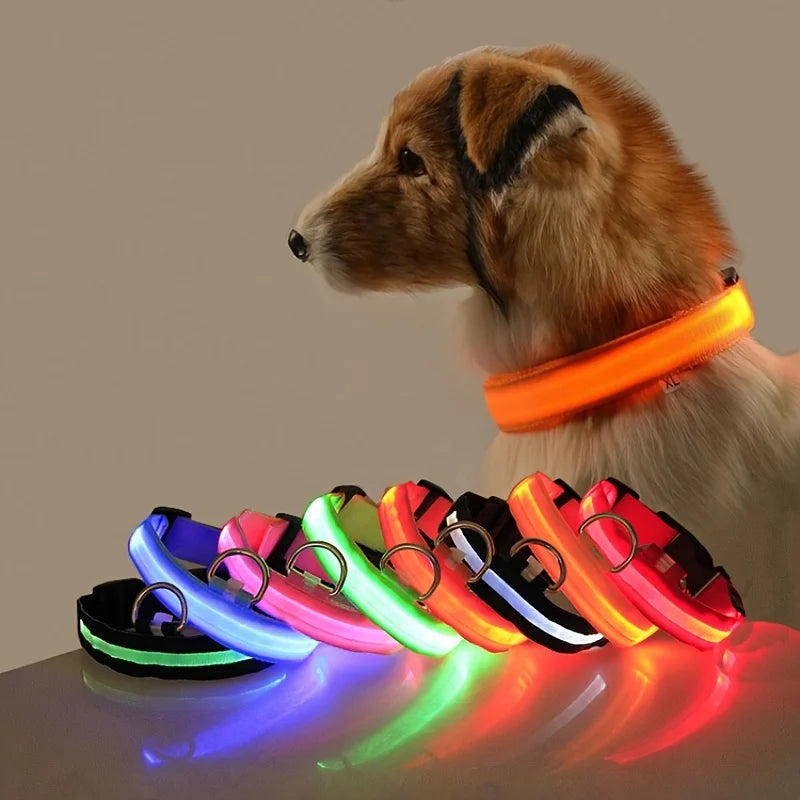 Primavia™ LumaCollar™ | LED Night Safety Dog Collar | USB Rechargeable Reflective Nylon | Glow-in-the-Dark Pet Gear | UK Free Shipping
