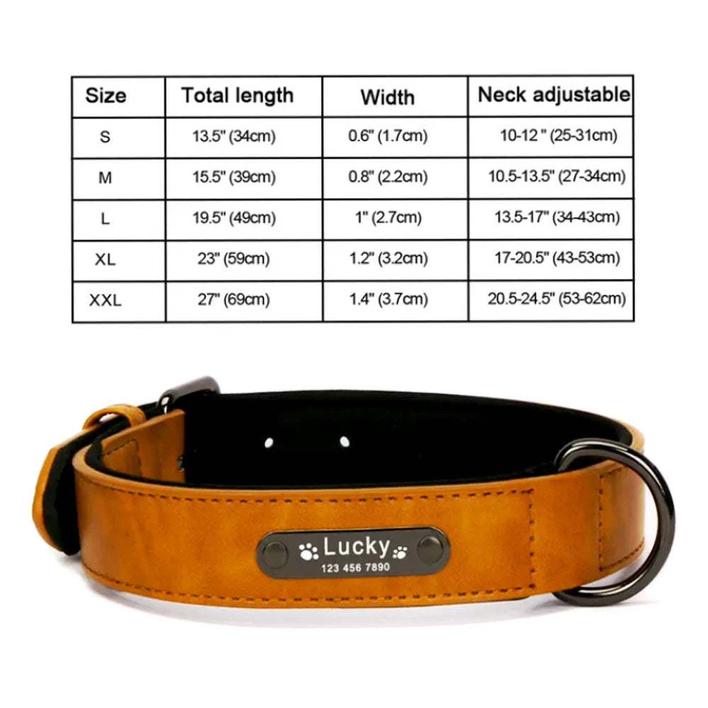 Primavia™ Custom Leather Dog Collar and Leash| Personalized Engraved ID Tag | UK Free Shipping