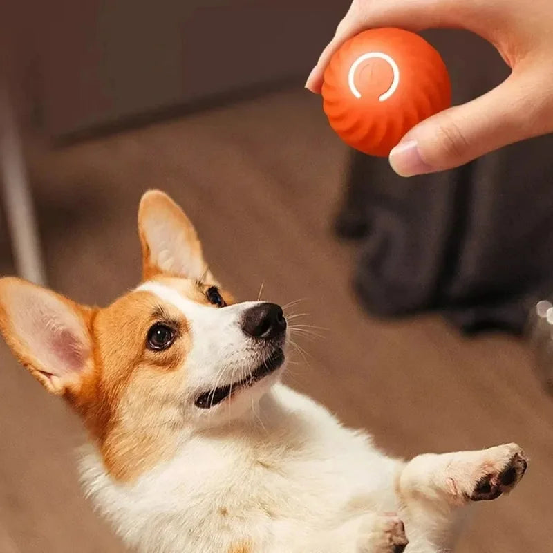 Primavia™ Smart Motion Ball | Automatic Moving & Bouncing Interactive Toy for Dogs | USB Rechargeable Active Play Ball